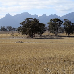 Stirling Range Nationalpark, South Western Australia