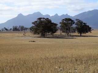斯特灵山脉国家公园