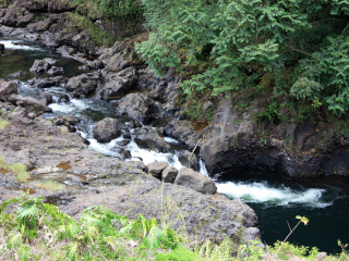 威陆库河州立公园