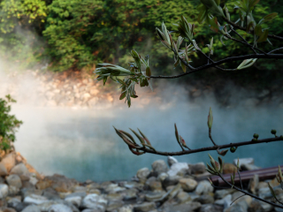 大江户温泉物语