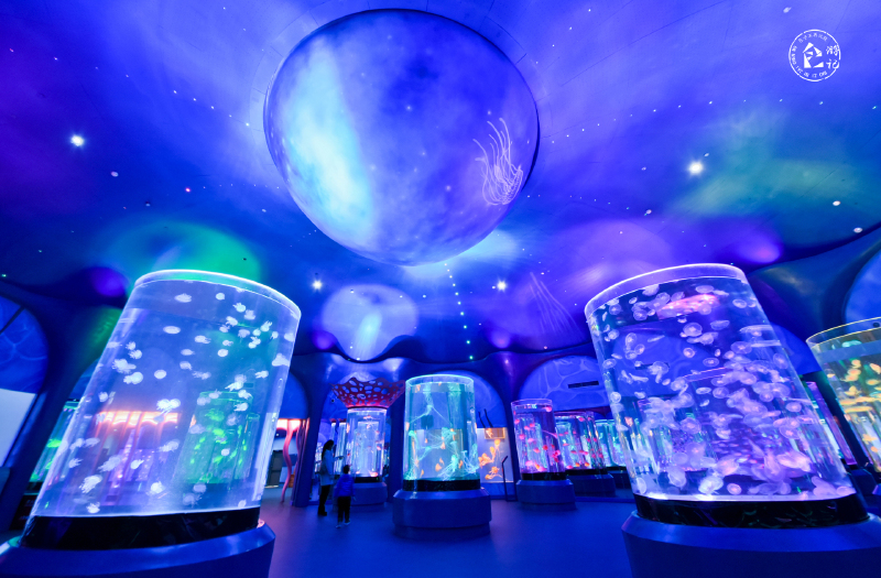 巨大的玻璃箱体内,在水中自然游弋的水母在灯光的照射下更显唯美之感.