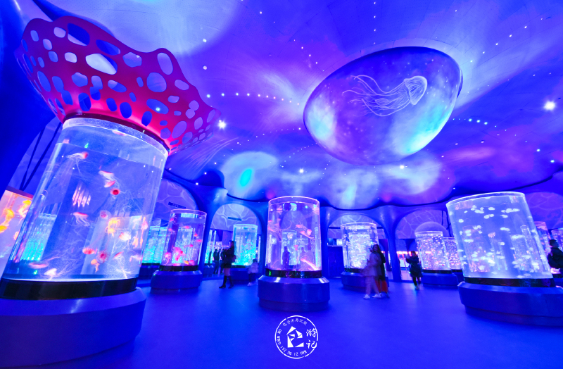 在水母音乐厅,音乐的传递不再是单纯的依靠