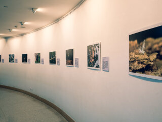 曼谷艺术文化中心