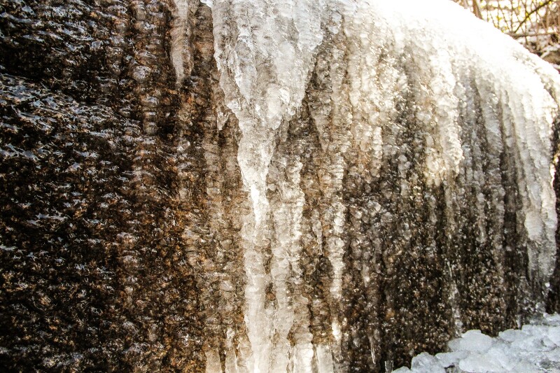 冬季黄山丨沉醉在这白色世界里,我想我是在"东北"吧