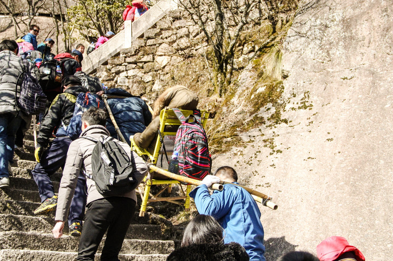 冬季黄山丨沉醉在这白色世界里,我想我是在"东北"吧