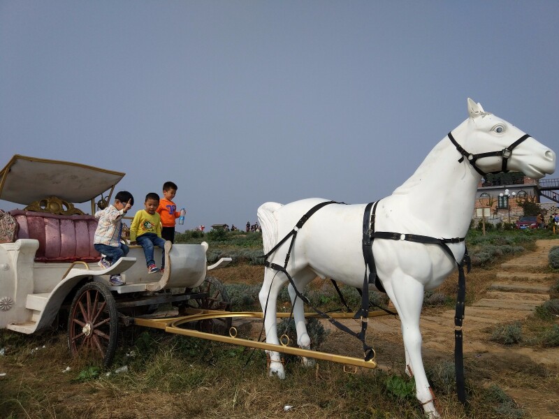儿子一眼看到这马车,跑过去坐