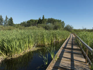 赖丁山国家公园