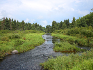 赖丁山国家公园