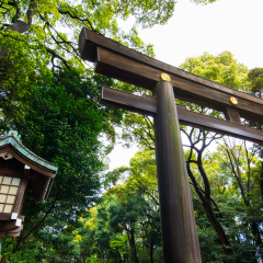 Tori gate and Lamp in  japanese style at park japan temple or shrine