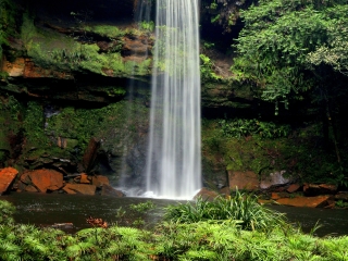 马廖盆地保护区