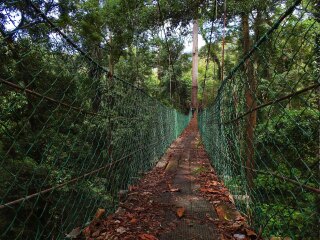 马廖盆地保护区