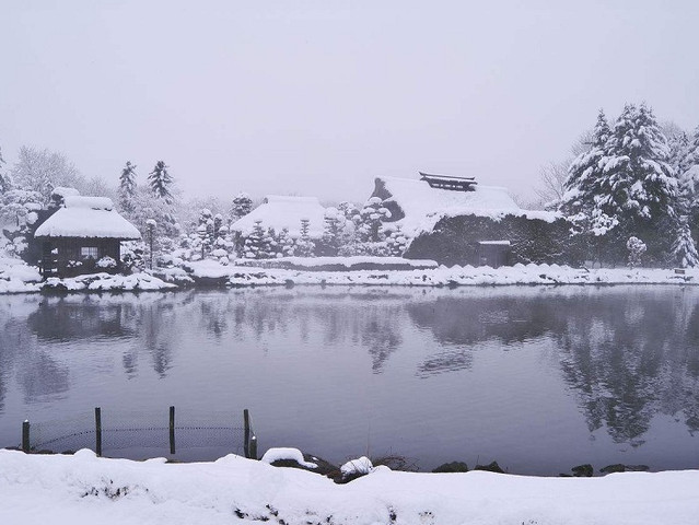 本州初雪6日游 踏雪迎春富士山二合目森林公园