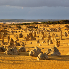 An overview of part of the Pinnacles Desert in the heart of the Nambung National Park, Western Australia.