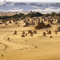 The Pinnacles Desert in Nambung National Park, Western Australia.