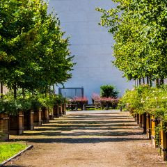 View of Jardin Atlantique in Paris. Jardin Atlantique is a public park and garden located on the roof that covers the tracks and platforms of the Gare Montparnasse railway station. Paris, France.