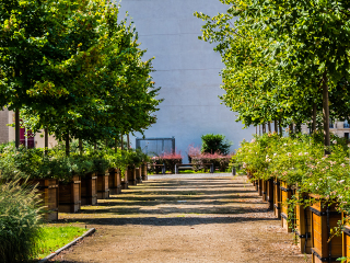 巴黎大西洋公园