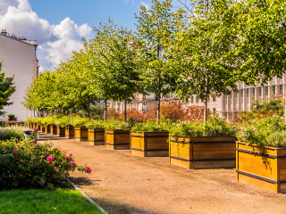 巴黎大西洋公园