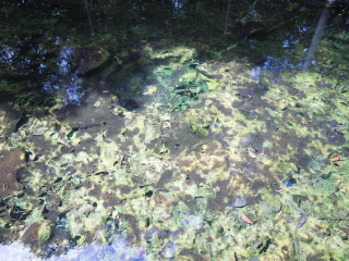 双溪克拉温泉休闲公园