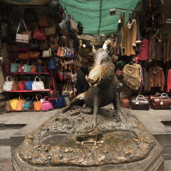 The gleaming snout of the Fontana del Porcellino, a bronze boar rubbed by thousands of hands for luck_ Tuscany, Italy