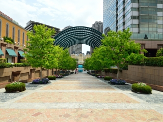 惠比寿花园广场