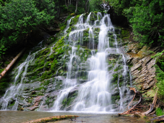 福里隆国家公园