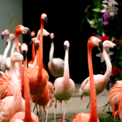 South Korea's Seoul Grand Park