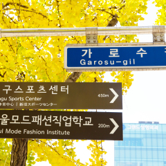 Garosugil Street Sign, Garosugil is a trendy tree-lined street with plenty of cafes, bars, restaurants and shops. Hugely popular with fashion aficionados and even celebrities. 