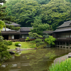 Sankeien Garden, Yokohama