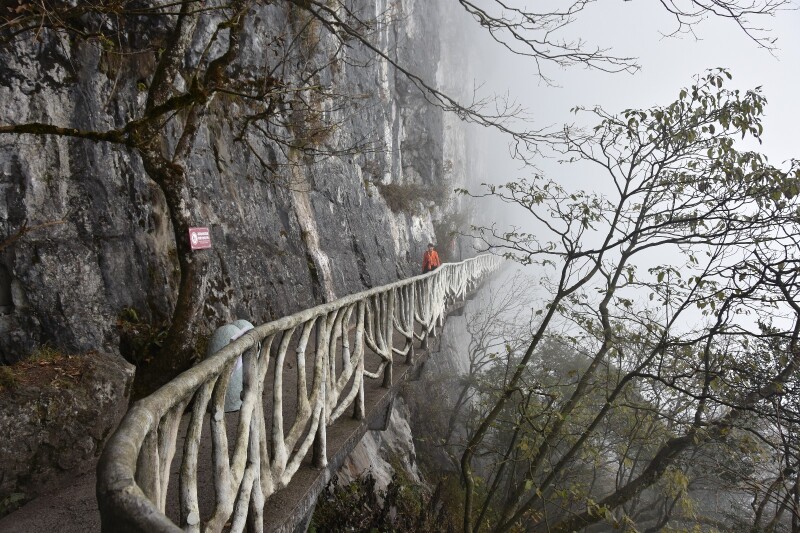 一人成团南川金佛山行