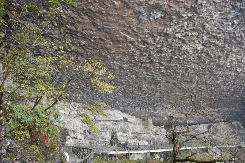 一人成团南川金佛山行