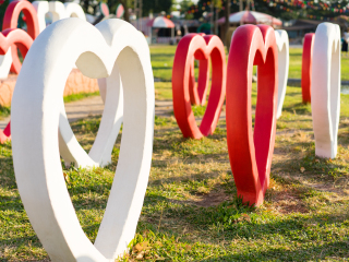 小瑞士绵羊牧场