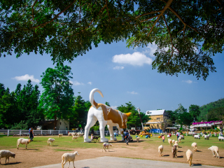 小瑞士绵羊牧场