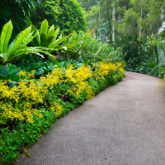 Walk way with orchid from Singapore National Orchid Garden