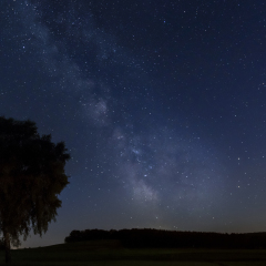 The Milky Way over the nature park Western Forests in Augsburg
