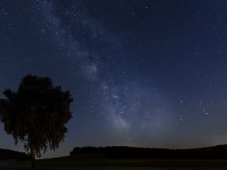 奥格斯堡西部森林自然公园