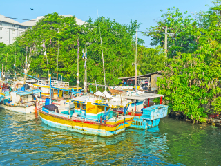 尼甘布泻湖