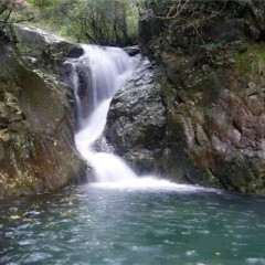 宁波南苑五龙潭度假酒店