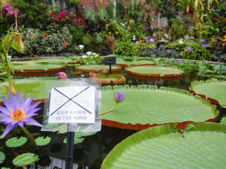 植物公园