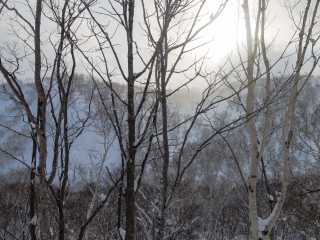 新雪谷大比罗夫滑雪场