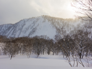 新雪谷大比罗夫滑雪场