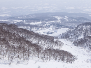 新雪谷东山滑雪场