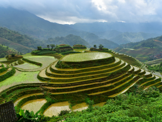 古壮寨七星伴月观景点