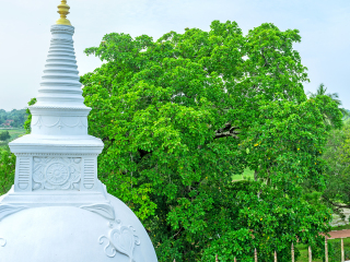 伊苏鲁姆尼亚石庙