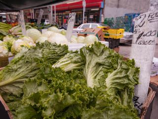 费城意大利集市