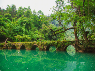 小七孔水上森林