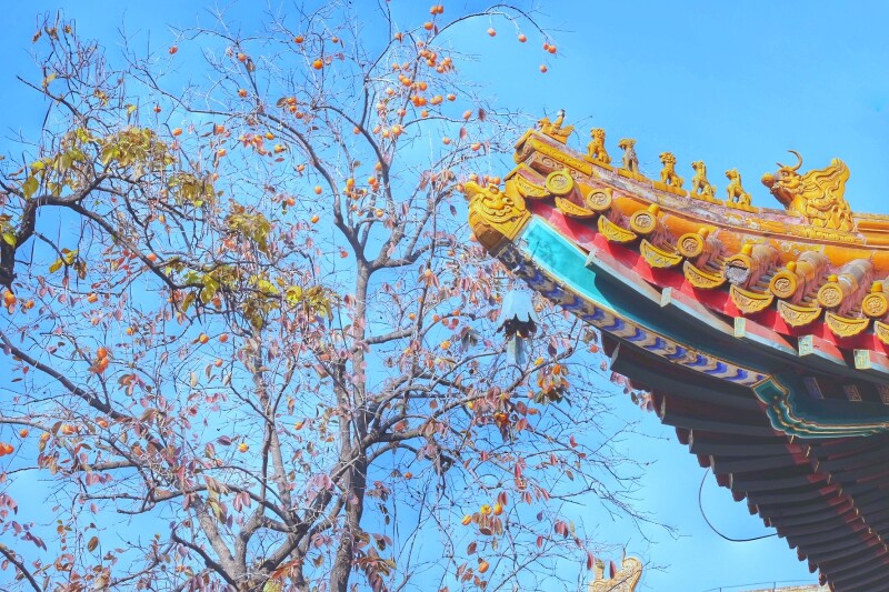 殿宇崇宏的雍和宫