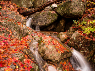 五台山国立公园