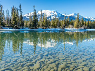 贾斯伯国家公园