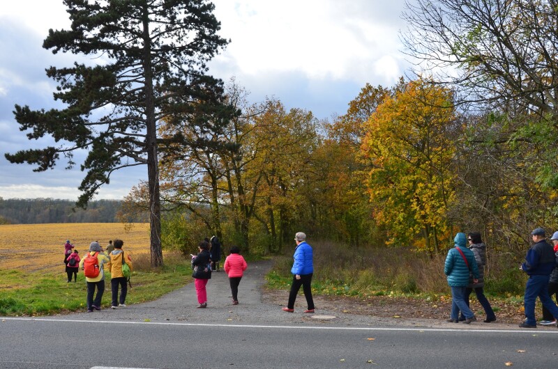 吃自带的干粮,可大家看见这里风景这么好,都向小树林边走去