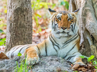 考比特国家公园